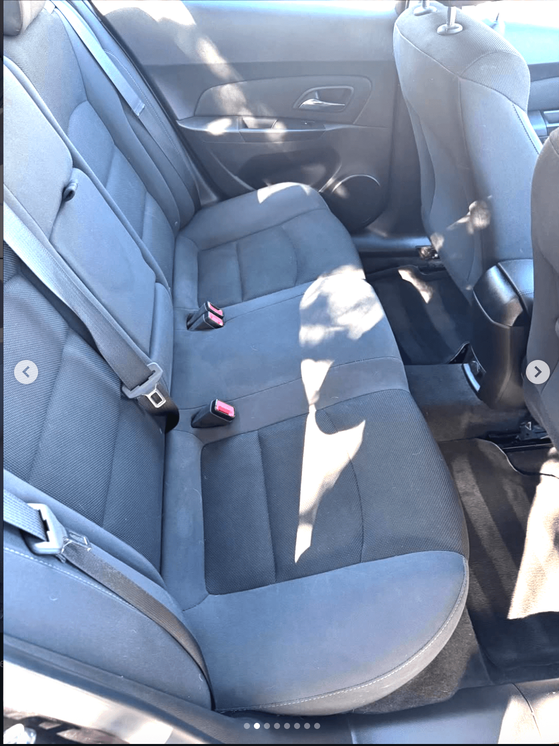 Pet Hair Removal after