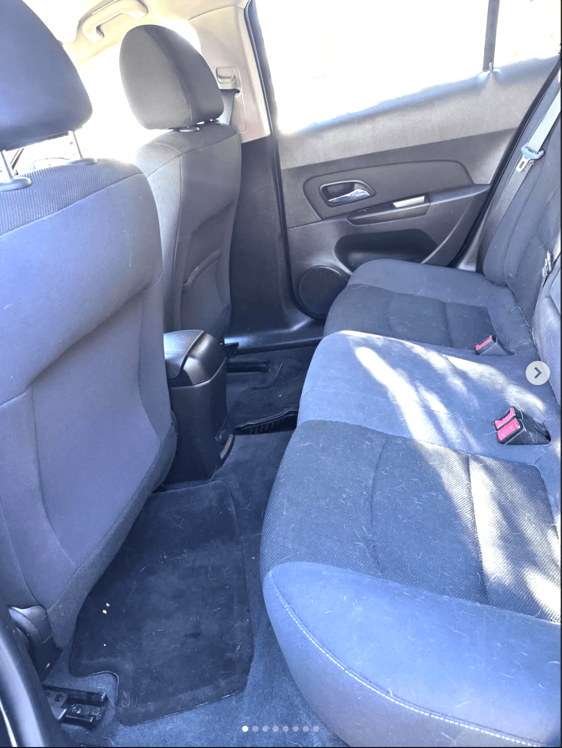 Pet Hair Removal before